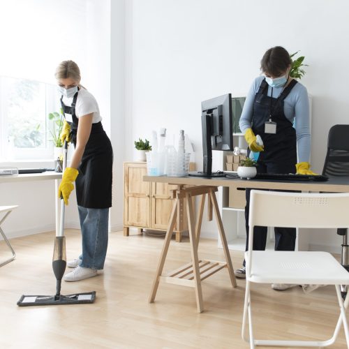 Domestic Cleaning.